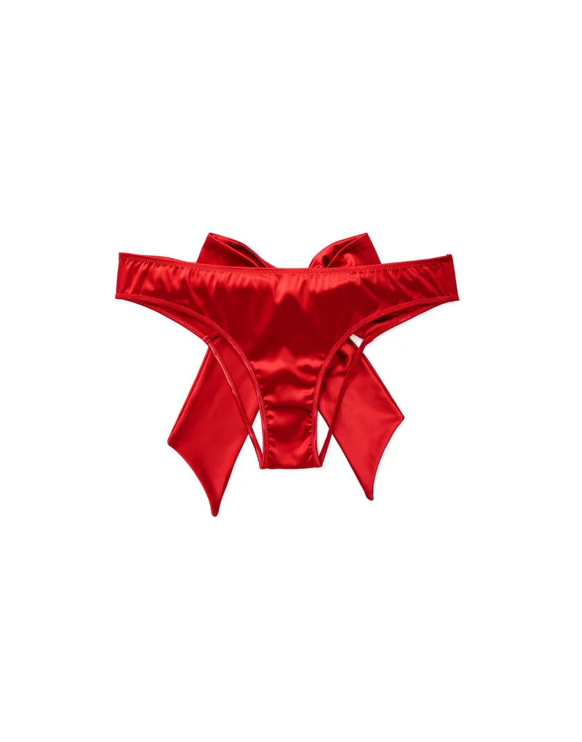 Gyngera Cheeky Dark Red panty bundle Still 3