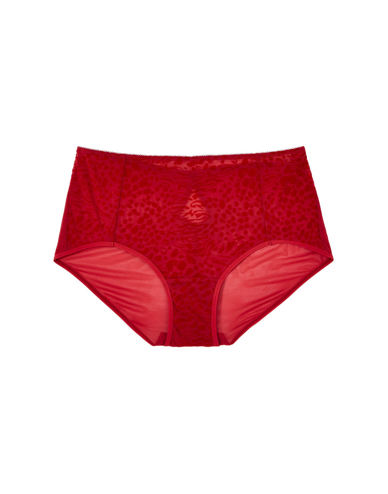 Deena High Waisted Panty