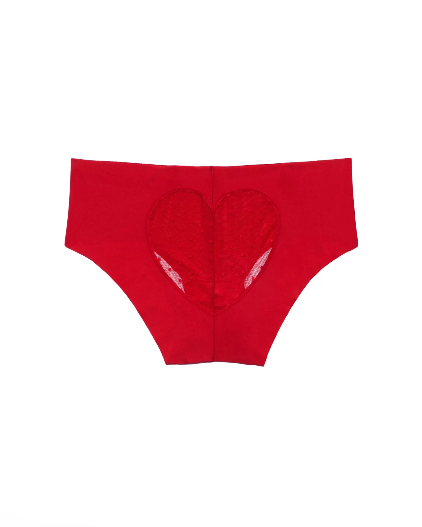 Loveheart Lace Sheer Knickers (More Colors)