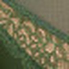 Andrelisa Contour Kombu Green