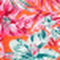 Gregoria Contour Aloha Spirit C01