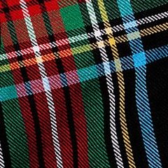 Cecelia Plus Stewart Tartan C01