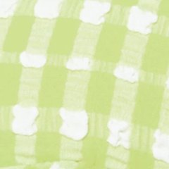 Steph Contorno Gingham- Daiquiri Green