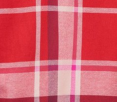 Caileigh Plus New Traditions Plaid C01