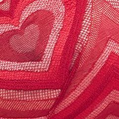 Amorata Sin Relleno Printed Retro Heart Lace C01