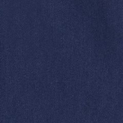 Ash Pant Medieval Blue