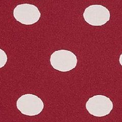 Shelby Contorno Coin Dot C02
