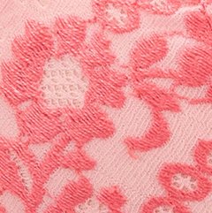 Sydnie Push Up Seashell Pink
