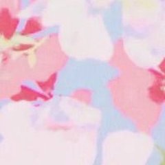 Vivien Wild Rose C02
