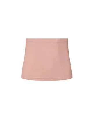 09006 Strapless Waist Training Cincher – The Pink Room Shapewear