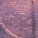 Kimmy Push Up Bra Purple