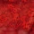 Cinthia Thong Panty Red