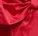 Arianna Brazilian Panty Red