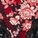 Nare Contour Bra Print