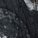 Renetta Bodysuit Black