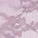 Raya Hipster Panty Purple