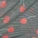 Winette Bikini Panty Print