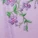 Sophy Push Up Bra Purple