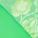 Arwen Hipster Panty Green