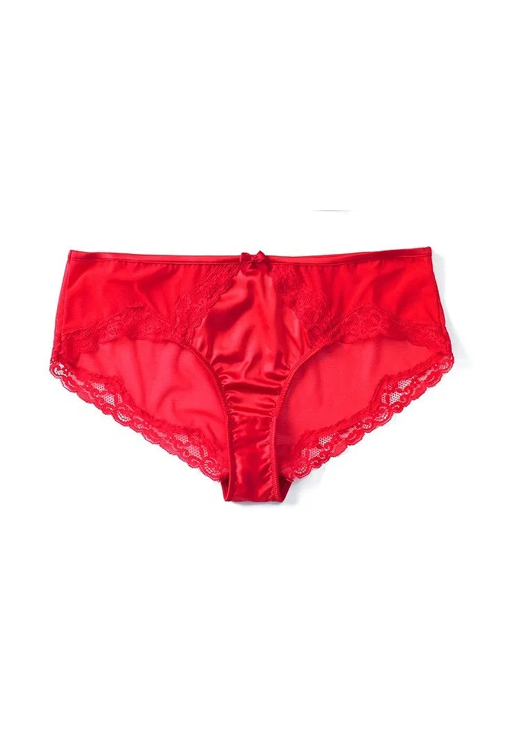 Aspen Hipster Dark Red panty bundle Model 1
