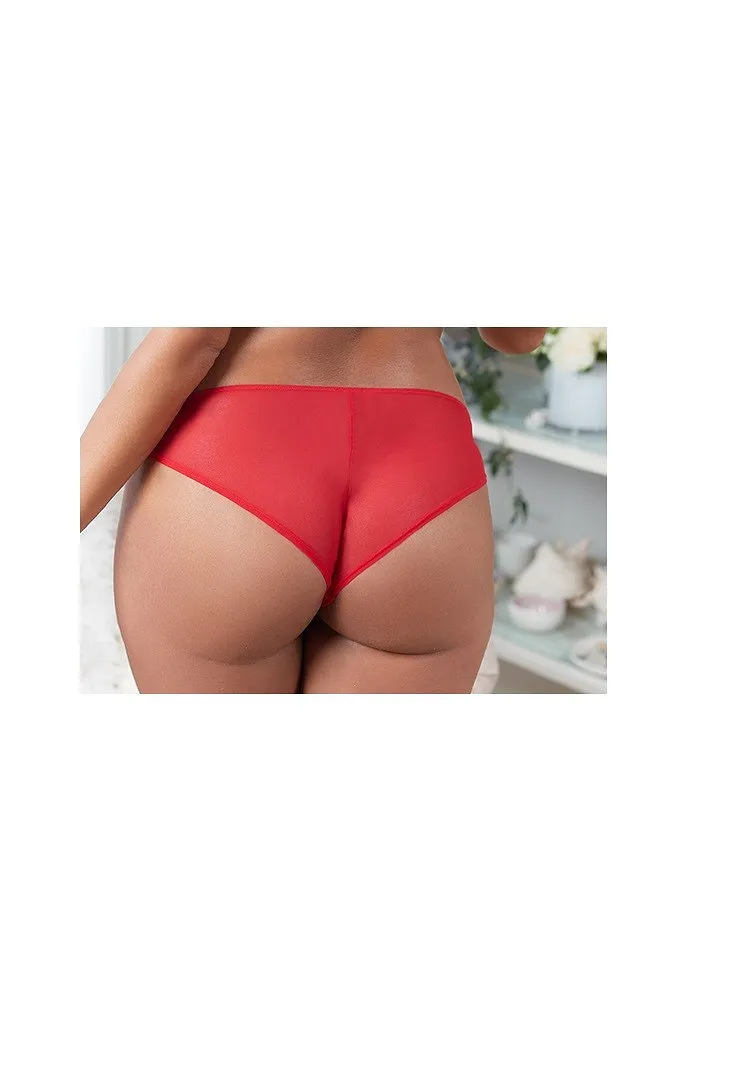 Adalina Bikini Dark Red panty bundle Model 1