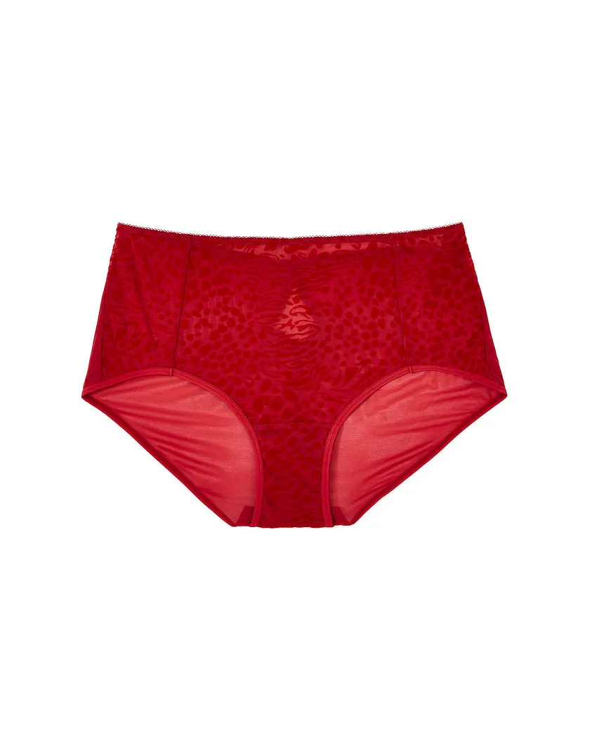 Deena High Waisted Dark Red panty bundle Still 1