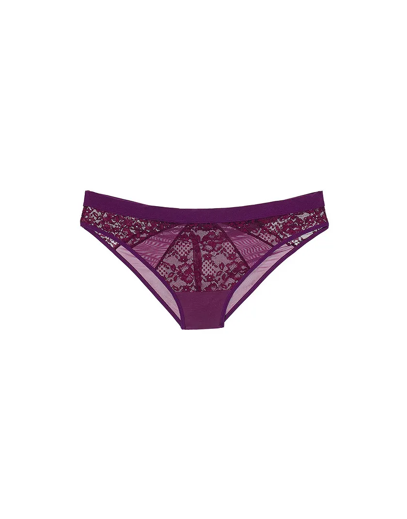 Florinda Bikini Dark Purple panty bundle Still 1