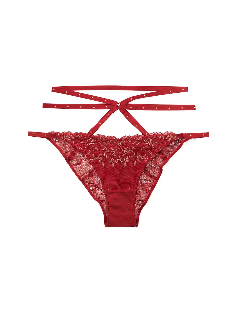 Arni Bikini Dark Red panty bundle Still 1