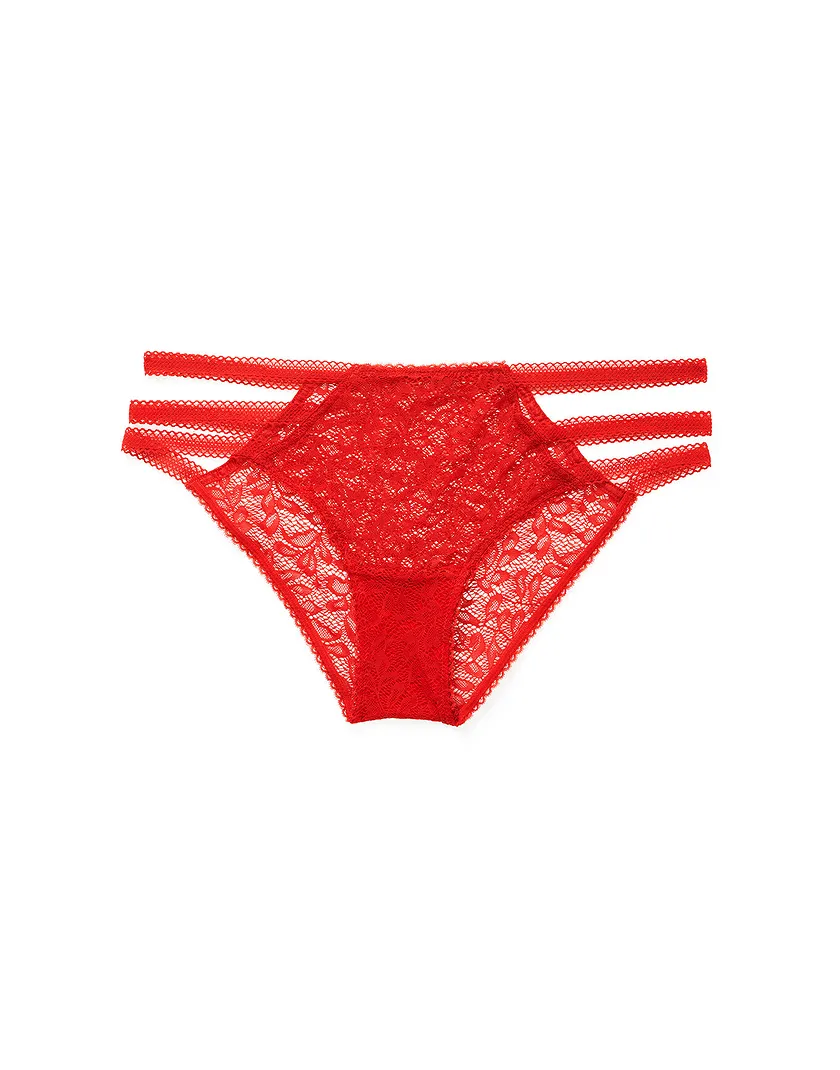 Dania Hipster Dark Red panty bundle Still 1