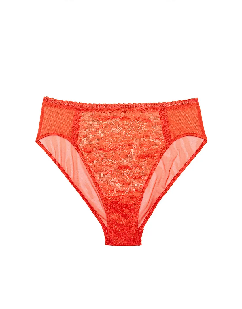 Charlize Bikini Dark Orange panty bundle Still 1