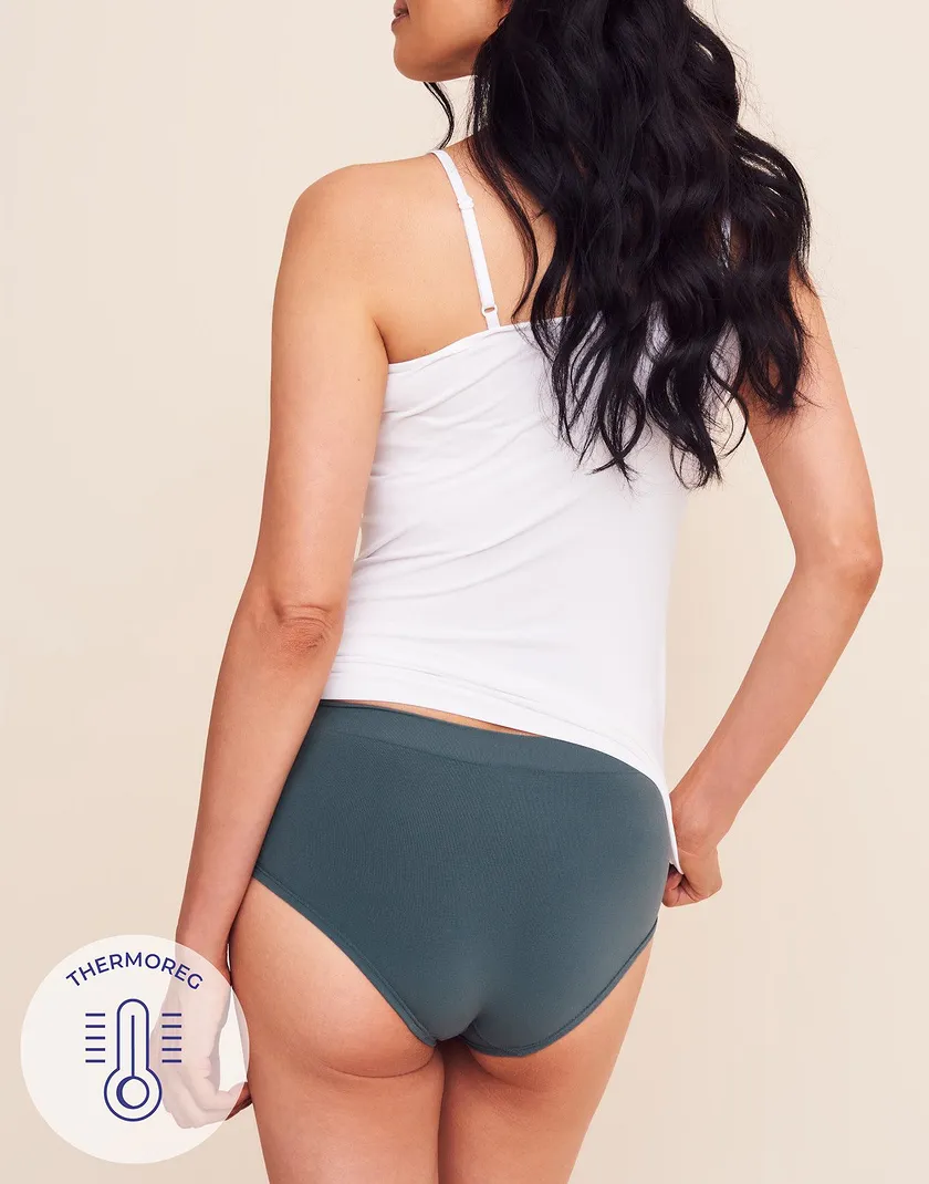 The Hipster Hipster Dark Gray panty bundle Model 1